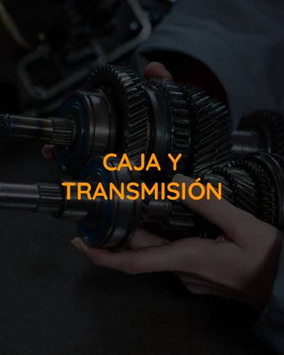 CAJA Y TRANSMISION